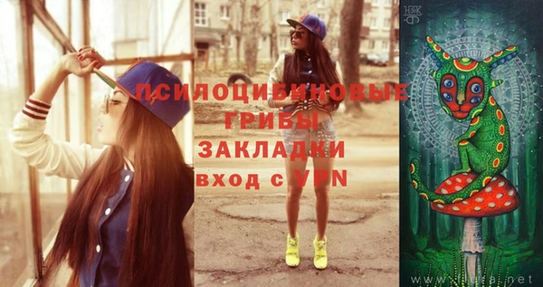 ПСИЛОЦИБИНОВЫЕ ГРИБЫ Балахна